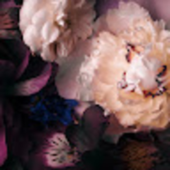 Meet your Posher, Sundra - Picture 1 of 1